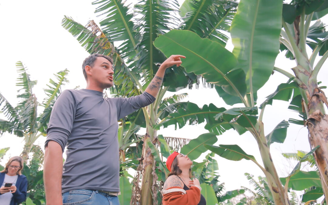 Comunicação e agroecologia: seminário reúne comunicadores populares na Lapa