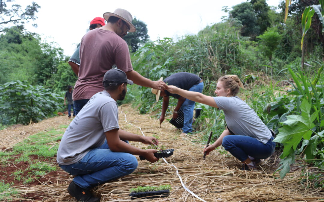 Curso de Agroecologia para camponesas e camponeses 2ª etapa